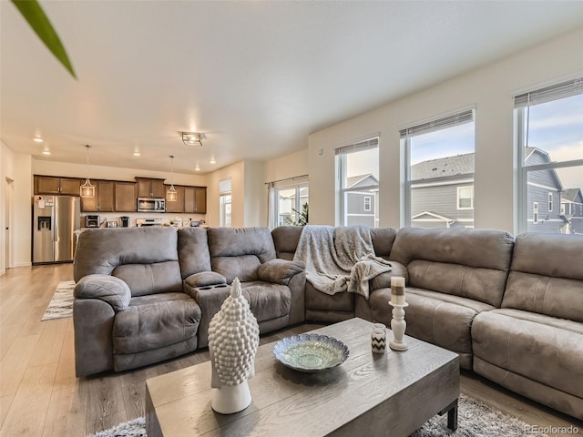 4955 Trails Edge Ln, Castle Rock, CO 80104 - living room with plenty of natural light and light wood-type flooring