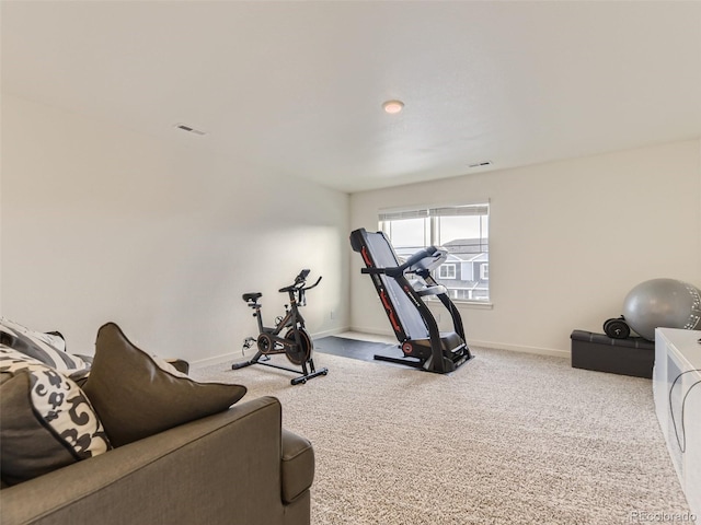 4955 Trails Edge Ln, Castle Rock, CO 80104 - workout room featuring carpet and baseboards