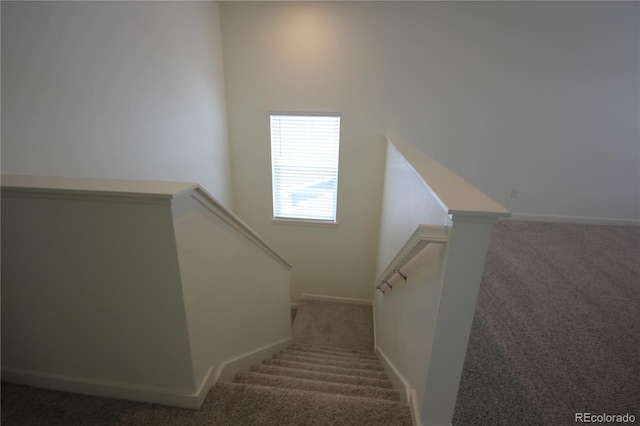 4955 Trails Edge Ln, Castle Rock, CO 80104 - stairway with carpet flooring and baseboards