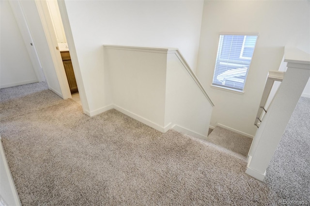 4955 Trails Edge Ln, Castle Rock, CO 80104 - photo 22