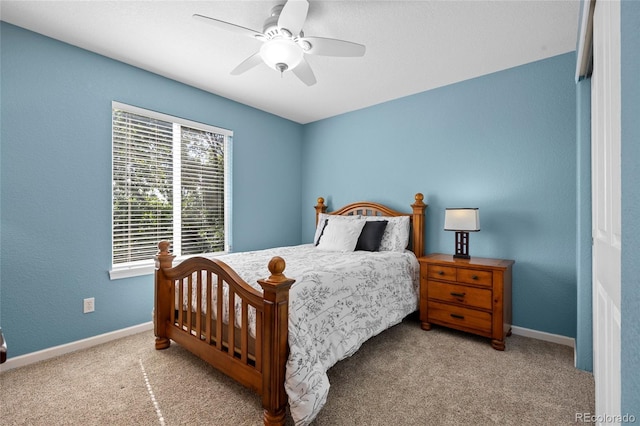 12000 Pine Top St, Parker, CO 80138 - photo 35