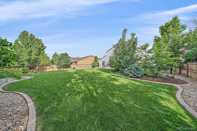 10723 W 54th Pl, Arvada, CO 80002 - view of yard