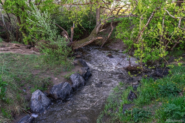 10723 W 54th Pl, Arvada, CO 80002 - view of nature