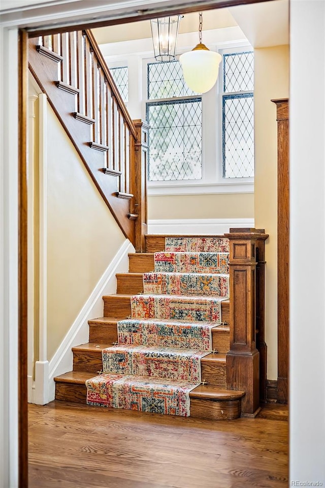 staircase featuring hardwood / wood-style flooring