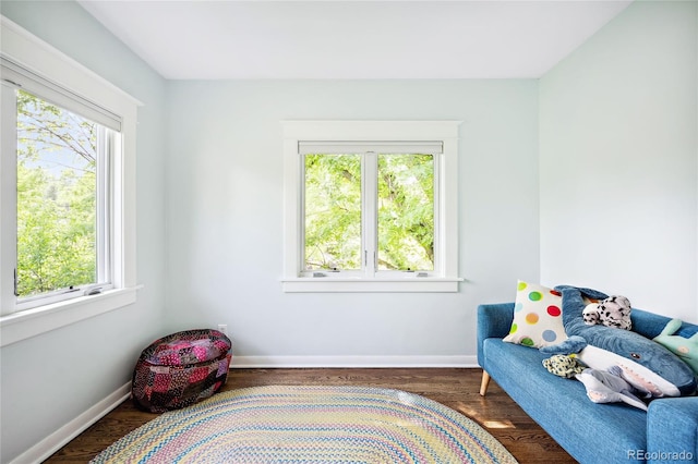 sitting room featuring dark wood-type flooring