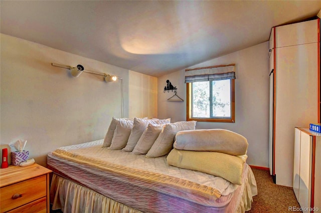 28 Concord Ct, Jefferson, CO 80456 - bedroom with vaulted ceiling and carpet floors