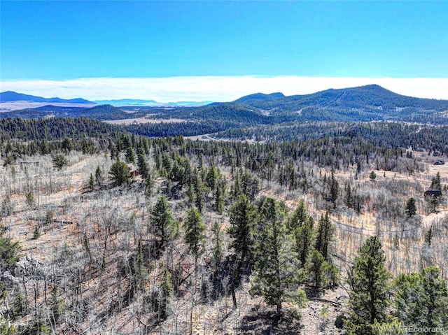 28 Concord Ct, Jefferson, CO 80456 - mountain view featuring a forest