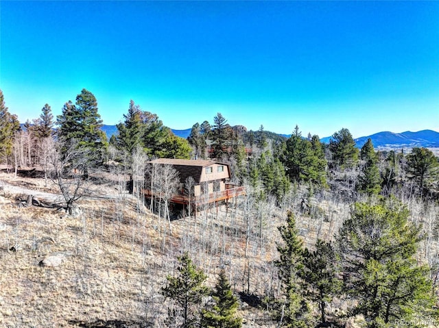 28 Concord Ct, Jefferson, CO 80456 - view of rear view of property