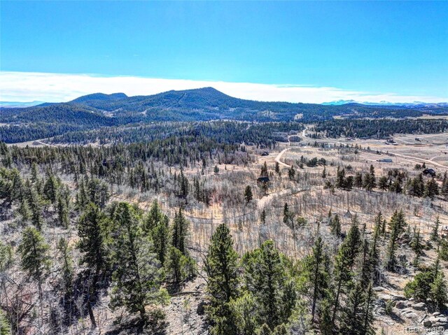 28 Concord Ct, Jefferson, CO 80456 - view of mountain backdrop featuring a forest