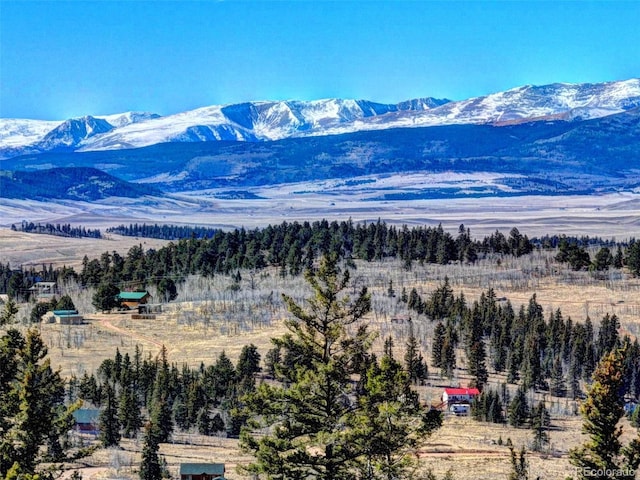 28 Concord Ct, Jefferson, CO 80456 - view of mountain background