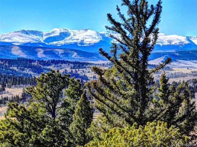 28 Concord Ct, Jefferson, CO 80456 - mountain view featuring a forest