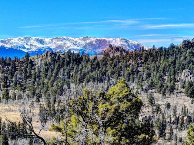 28 Concord Ct, Jefferson, CO 80456 - mountain view featuring a forest