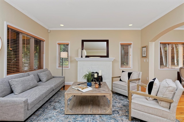 living room featuring crown molding and dark hardwood / wood-style floors