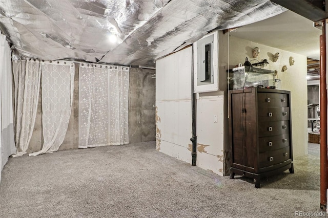 unfinished basement featuring carpet flooring and electric panel