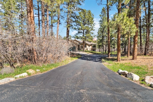 view of asphalt driveway