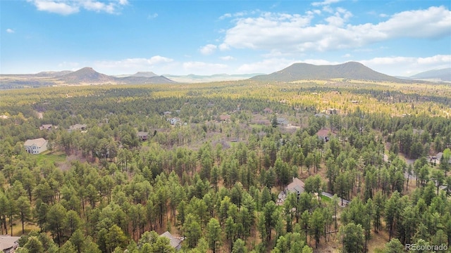 view of mountain background featuring a forest