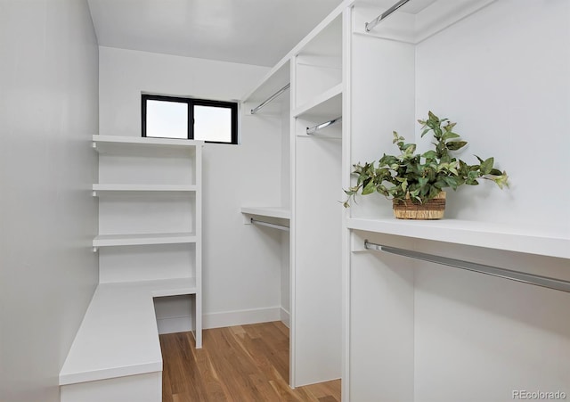 walk in closet featuring wood-type flooring