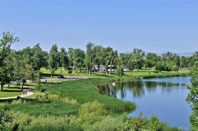 property view of water