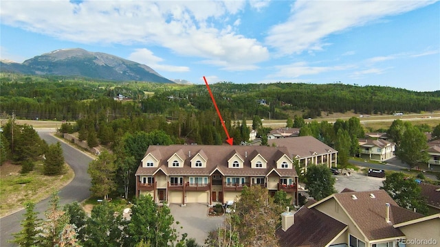 101 Morningstar Cir Unit C, Frisco, CO 80443 - photo 10