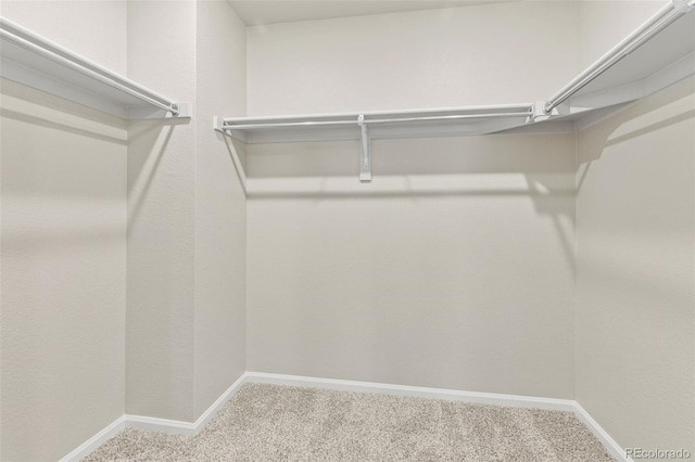 762 N Rome St, Aurora, CO 80018 - spacious closet featuring carpet