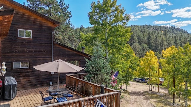 549 Old State Rd, Bailey, CO 80421 - photo 22