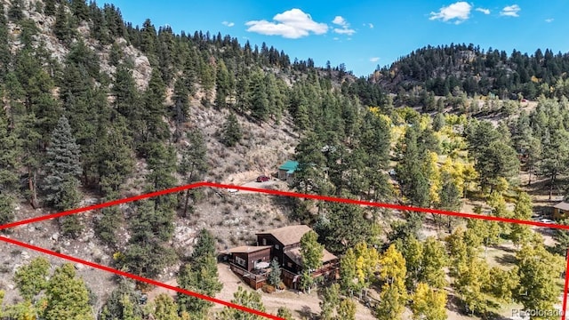 549 Old State Rd, Bailey, CO 80421 - photo 23