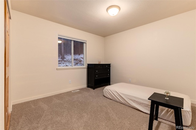 250 Upper Forest Rd, Idaho Springs, CO 80452 - photo 25