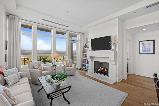 living room featuring light hardwood / wood-style floors