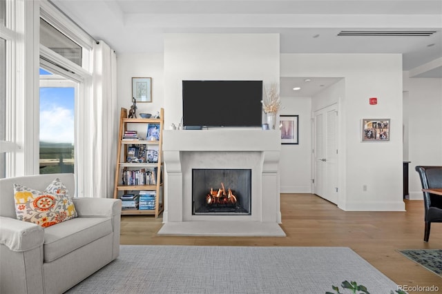 living room featuring light hardwood / wood-style flooring