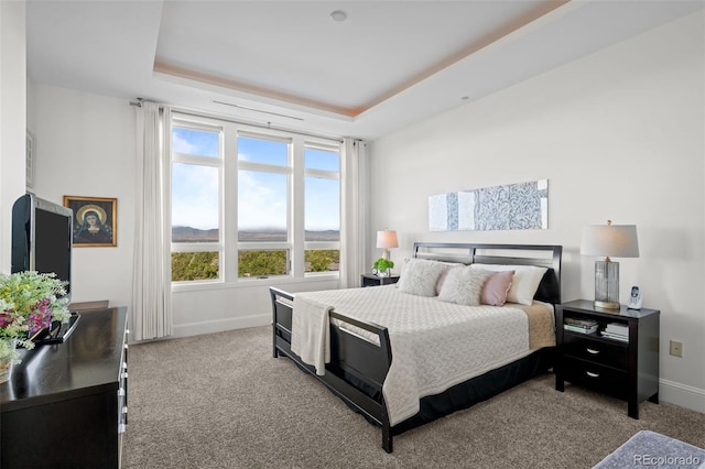 bedroom with light carpet and a tray ceiling