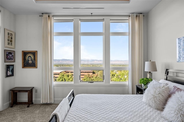 carpeted bedroom with multiple windows