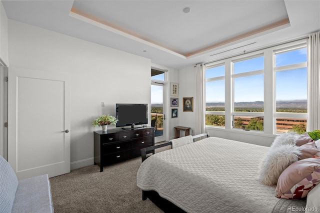 bedroom featuring a tray ceiling, multiple windows, and light colored carpet