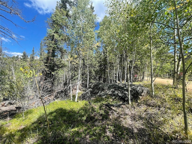 169 Ithaca Ln, Como CO, 80432 land for sale