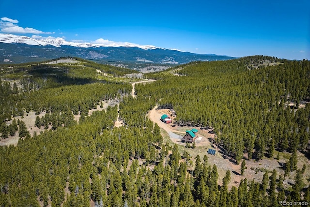 drone / aerial view featuring a mountain view