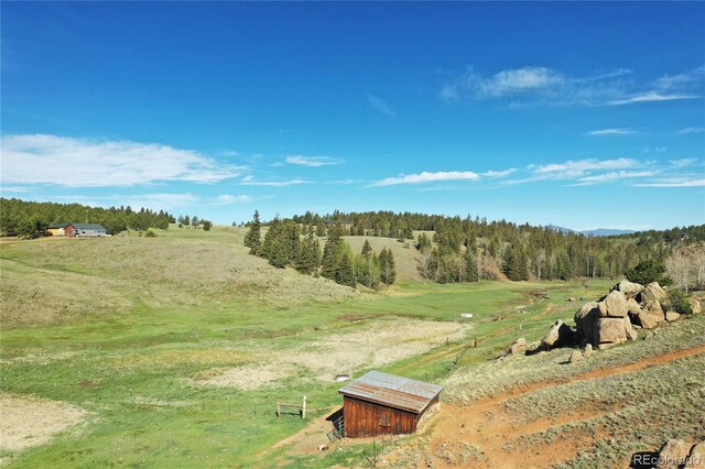 3579 County Rd 42, Florissant, CO 80816 - photo 9