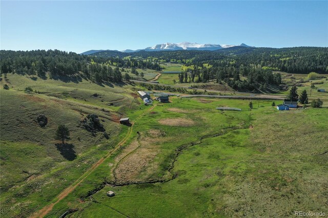 3579 County Rd 42, Florissant, CO 80816 - photo 10