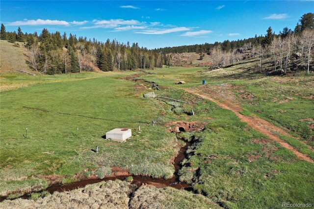 3579 County Rd 42, Florissant, CO 80816 - photo 11