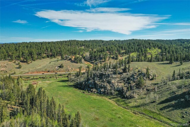 3579 County Rd 42, Florissant, CO 80816 - photo 12