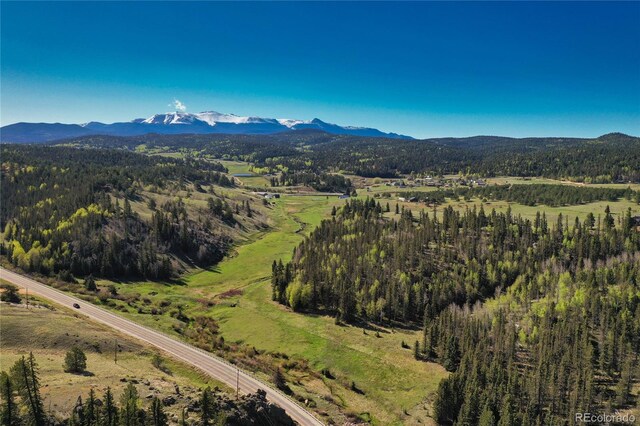 3579 County Rd 42, Florissant, CO 80816 - photo 13