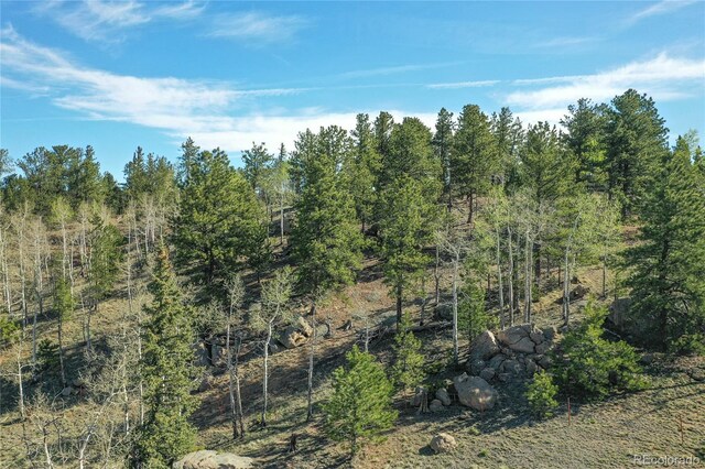 3579 County Rd 42, Florissant, CO 80816 - photo 15