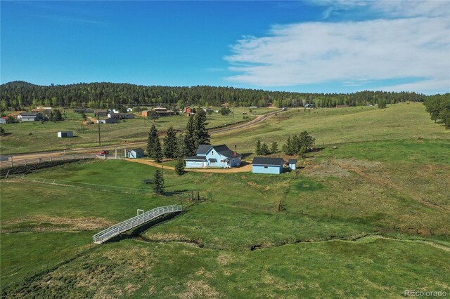 3579 County Rd 42, Florissant, CO 80816 - photo 21