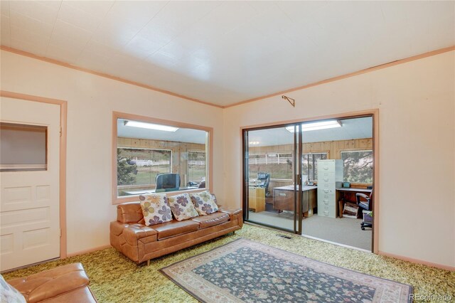 3579 County Rd 42, Florissant, CO 80816 - photo 36