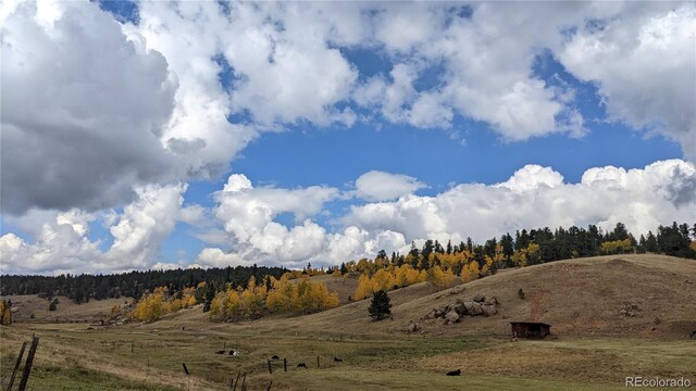 3579 County Rd 42, Florissant, CO 80816 - photo 49