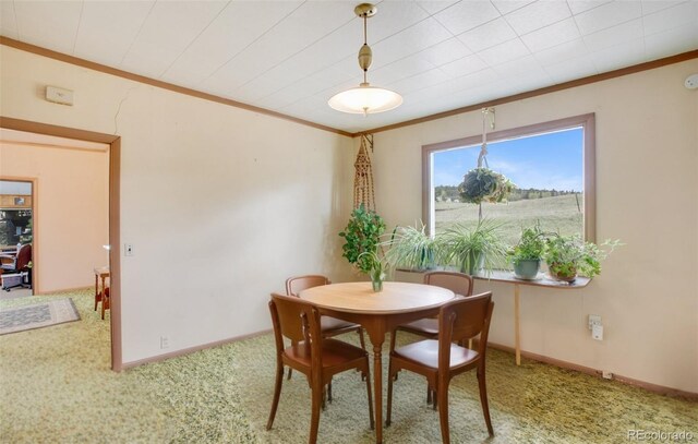 3579 County Rd 42, Florissant, CO 80816 - photo 32