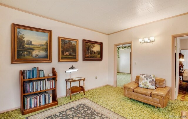 3579 County Rd 42, Florissant, CO 80816 - photo 35