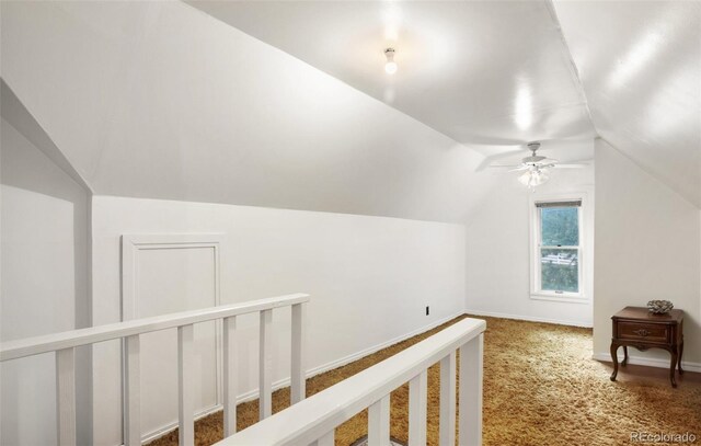 3579 County Rd 42, Florissant, CO 80816 - photo 47