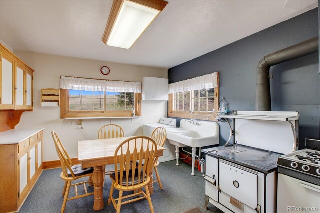 3579 County Rd 42, Florissant, CO 80816 - photo 26