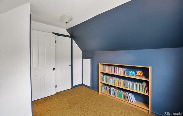 3579 County Rd 42, Florissant, CO 80816 - photo 42