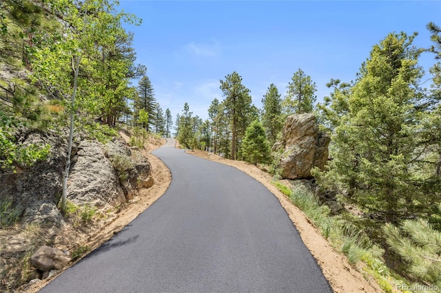 13415 S Resort Dr, Conifer, CO 80433 - view of asphalt road
