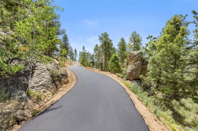 13415 S Resort Dr, Conifer, CO 80433 - view of asphalt street